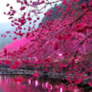 Meet your Posher, Mubashra